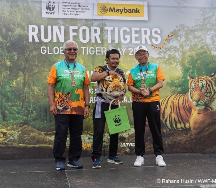 Tiger-picture-3