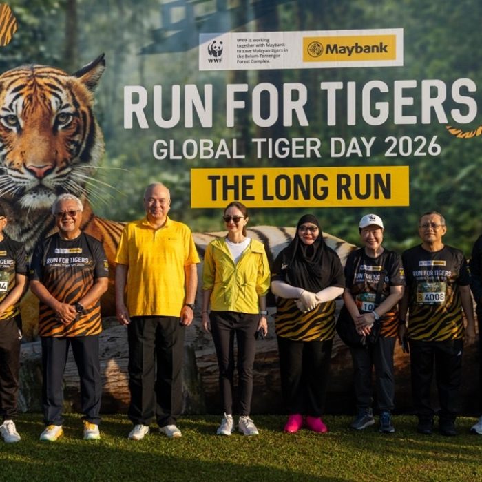 Run_for_Tigers_2026_pic_1-1.jpg